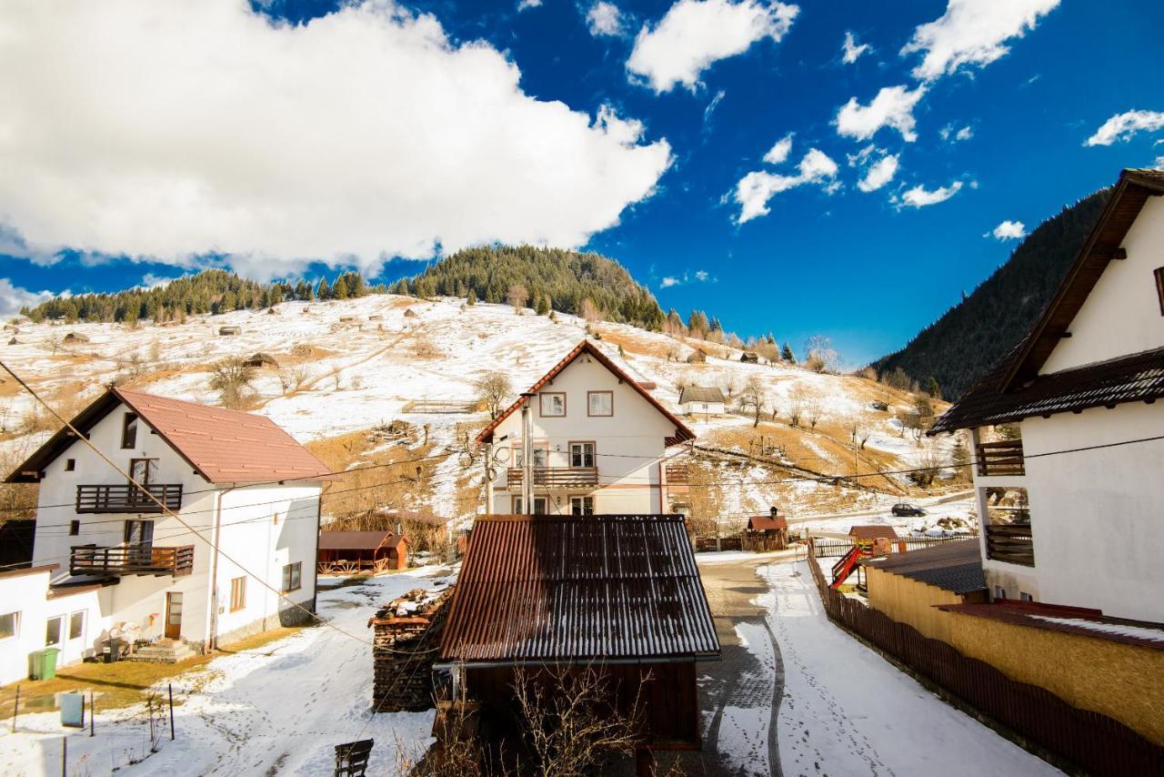 Vila Moecel Moeciu De Sus Esterno foto